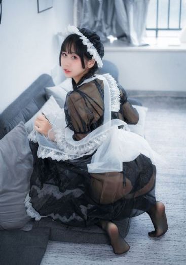 骡子和金子电视剧免费观看