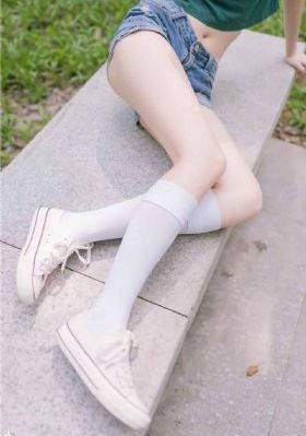 与君歌免费观看完整版电视剧全集