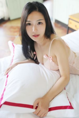 女律师的坠落