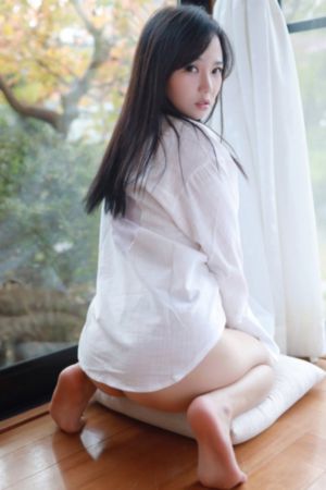 锅匠裁缝士兵间谍 电影