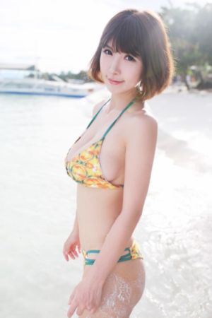 去有风的地方电视剧观看